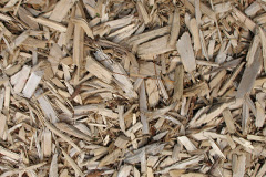 biomass boilers Cockburnspath